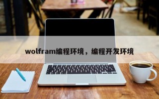 wolfram编程环境，编程开发环境