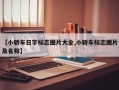 【小轿车日字标志图片大全,小轿车标志图片及名称】