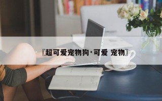 〖超可爱宠物狗·可爱 宠物〗