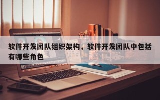 软件开发团队组织架构，软件开发团队中包括有哪些角色