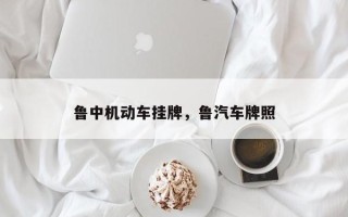 鲁中机动车挂牌，鲁汽车牌照