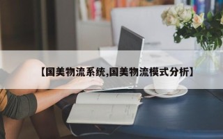【国美物流系统,国美物流模式分析】