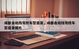 成都自动挡驾校车型目录，成都自动挡驾校车型目录图片