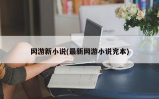 网游新小说(最新网游小说完本)