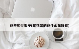 花卉爬行架子(爬花架的花什么花好看)